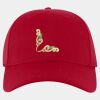 OTTO CAP® OTTO FLEX® Fitted 6 Panel Low Profile Baseball Cap Thumbnail