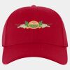 OTTO CAP® OTTO FLEX® Fitted 6 Panel Low Profile Baseball Cap Thumbnail