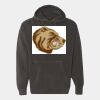 Ring Spun Hooded Sweatshirt Thumbnail