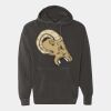 Ring Spun Hooded Sweatshirt Thumbnail