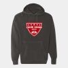 Ring Spun Hooded Sweatshirt Thumbnail