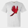 Heavyweight Ring Spun Tee Thumbnail