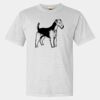Heavyweight Ring Spun Tee Thumbnail