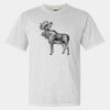 Heavyweight Ring Spun Tee Thumbnail