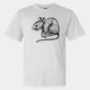 Heavyweight Ring Spun Tee Thumbnail