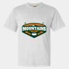 Heavyweight Ring Spun Tee Thumbnail