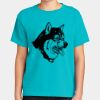 Youth Heavyweight Ring Spun Tee Thumbnail