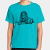 Youth Heavyweight Ring Spun Tee Thumbnail